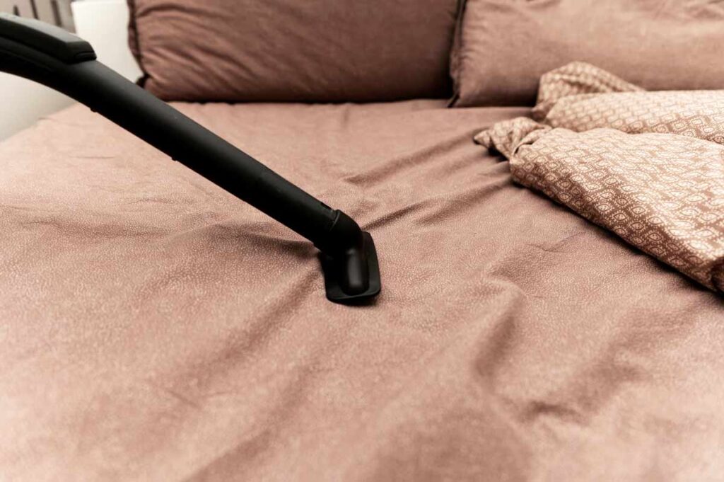Mattress Cleaning Service