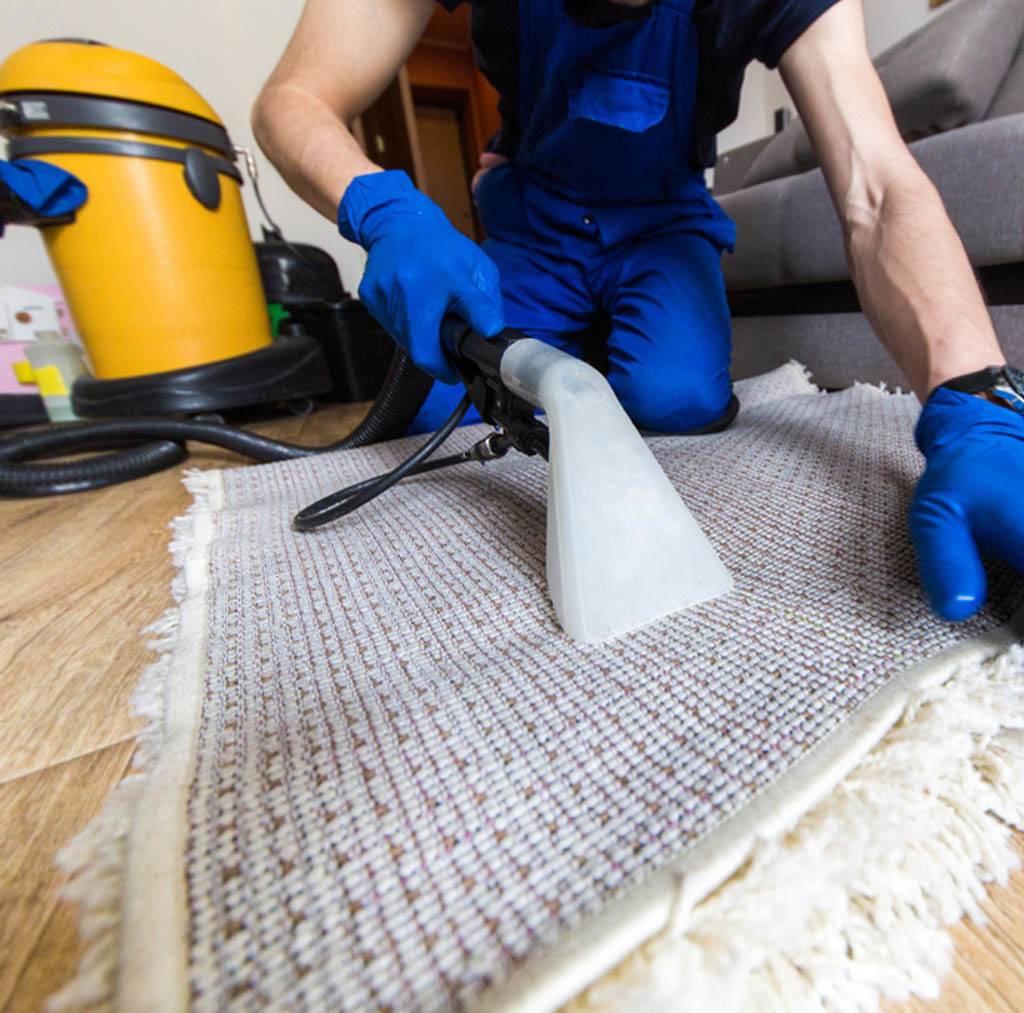 area rug cleaning service in Sebastopol CA