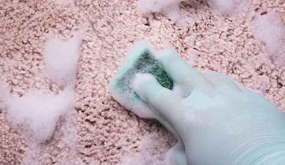 Hand-Cleaning-Rug