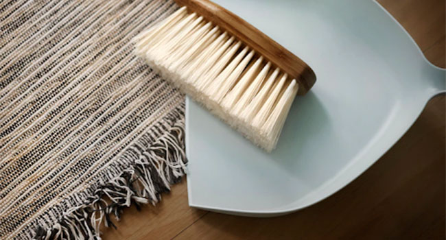 Soft Brush and Broom