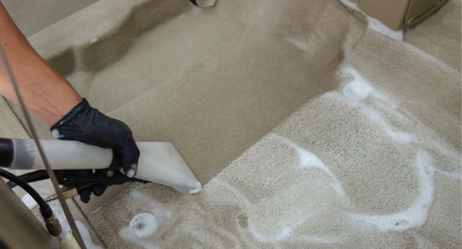 Carpet cleaning with Shampoo